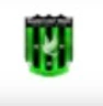 Basake Holy Stars logo
