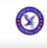 Berekum Chelsea logo