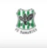 FC Samartex logo